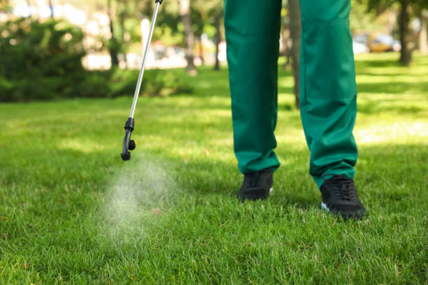 Best Best Pest Control Companies  in Idalou, TX