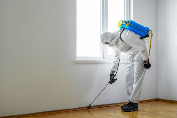 Flea Control Services in Idalou, TX