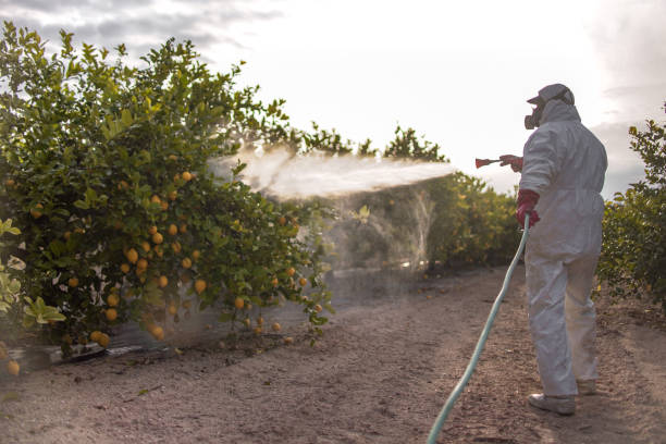 Best Rodent Control Near Me  in Idalou, TX