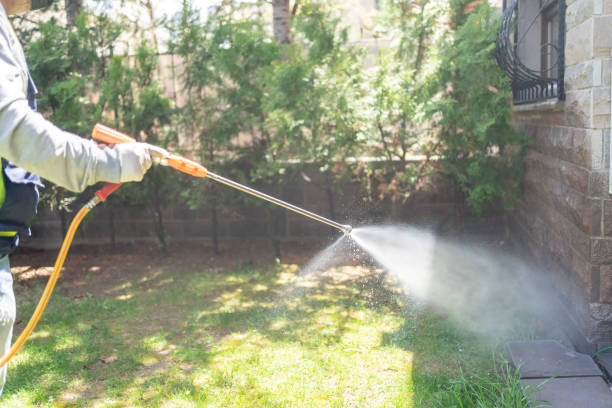 Reliable Idalou, TX Pest Control Solutions