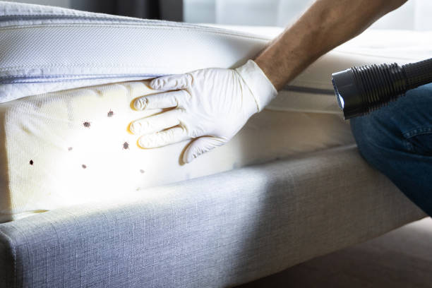Best Pest Removal Services  in Idalou, TX