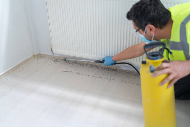 Best Affordable Pest Control Services  in Idalou, TX