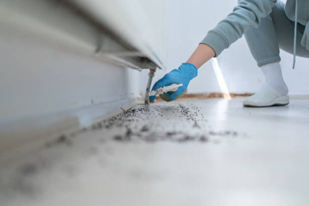 Best Pest Prevention Services  in Idalou, TX
